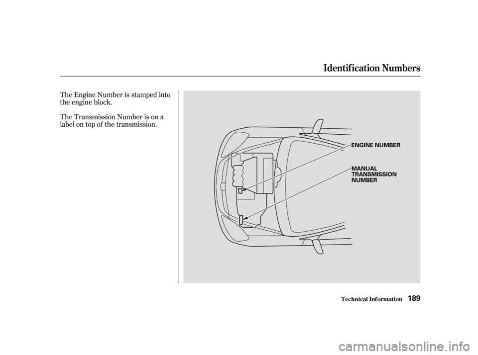 HONDA CIVIC HATCHBACK 2004 7.G Owners Manual The Engine Number is stamped into 
the engine block. 
The Transmission Number is on a 
label on top of the transmission.
Identif ication Numbers
T echnical Inf ormation189
ENGINE NUMBER
MANUAL 
TRANSM