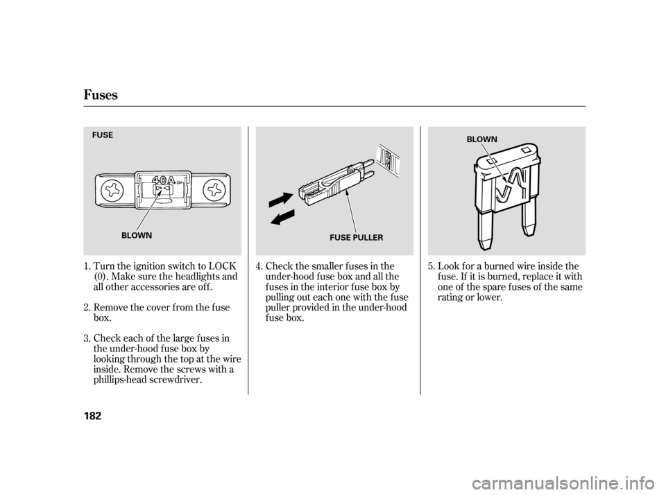 HONDA CIVIC HATCHBACK 2005 7.G Owners Manual Remove the cover f rom the f use 
box. 
Check each of the large f uses in 
the under-hood f use box by
looking through the top at the wire
inside. Remove the screws with a
phillips-head screwdriver.
T