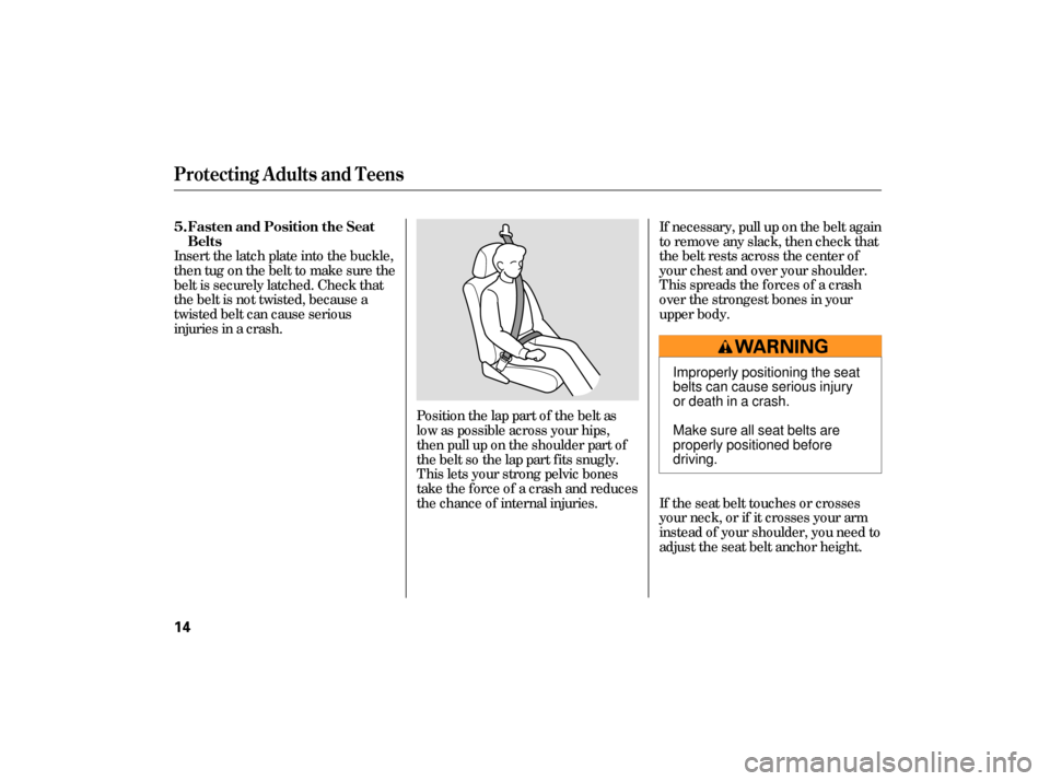 HONDA CIVIC HYBRID 2006 8.G User Guide If necessary, pull up on the belt again
to remove any slack, then check that
the belt rests across the center of
your chest and over your shoulder.
This spreads the f orces of a crash
over the stronge