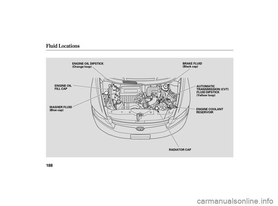 HONDA CIVIC HYBRID 2006 8.G Service Manual Fluid Locations
188
RADIATOR CAP
ENGINE OIL DIPSTICK
(Orange loop)
ENGINE OIL
FILL CAP
WASHER FLUID
(Blue cap) AUTOMATIC
TRANSMISSION (CVT)
FLUID DIPSTICK
(Yellow loop)
ENGINE COOLANT
RESERVOIR
BRAKE 