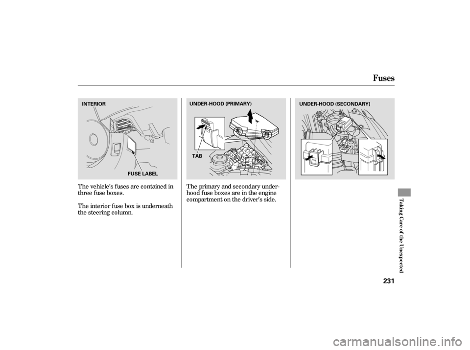 HONDA CIVIC HYBRID 2006 8.G Owners Manual The vehicle’s f uses are contained in
threefuseboxes.The primary and secondary under-
hood f use boxes are in the engine
compartment on the driver’s side.
The interior f use box is underneath
the 