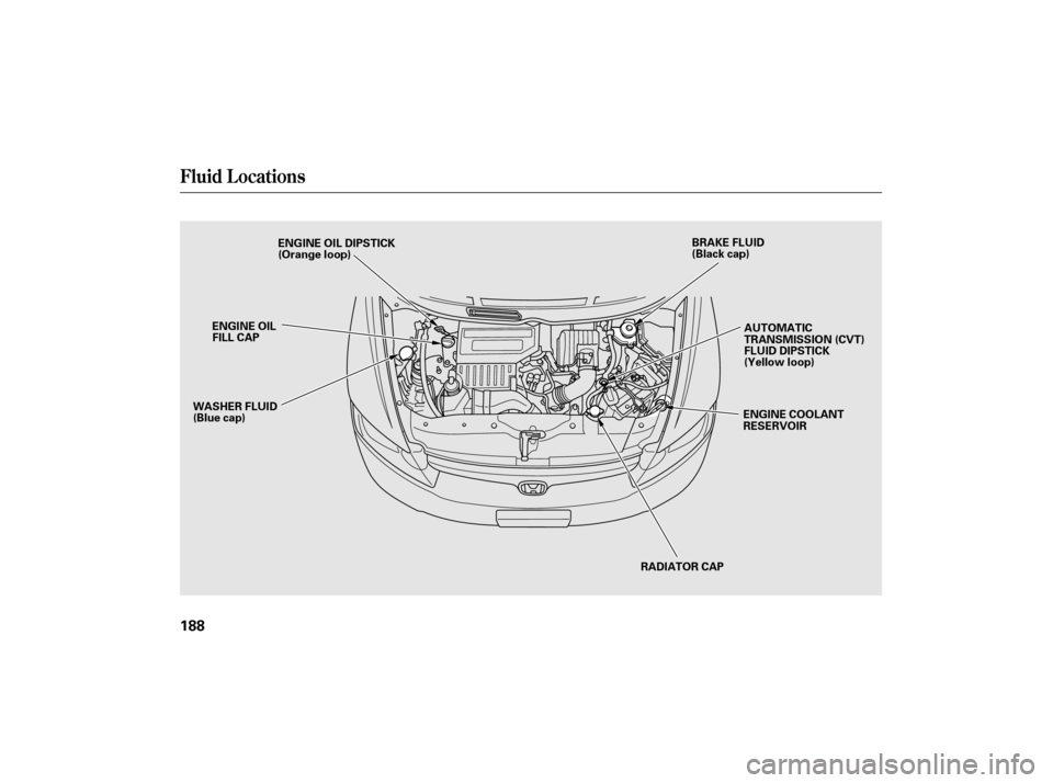 HONDA CIVIC HYBRID 2007 8.G Owners Manual Fluid Locations
188
RADIATOR CAP
ENGINE OIL DIPSTICK
(Orange loop)
ENGINE OIL
FILL CAP
WASHER FLUID
(Blue cap) AUTOMATIC
TRANSMISSION (CVT)
FLUID DIPSTICK
(Yellow loop)
ENGINE COOLANT
RESERVOIR
BRAKE 