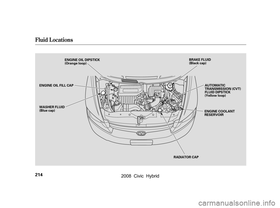 HONDA CIVIC HYBRID 2008 8.G Owners Manual Fluid Locations
214
RADIATOR CAP
ENGINE OIL DIPSTICK 
(Orange loop)
WASHER FLUID
(Blue cap) AUTOMATIC
TRANSMISSION (CVT)
FLUID DIPSTICK
(Yellow loop)
ENGINE COOLANT
RESERVOIR
BRAKE FLUID
(Black cap)
E