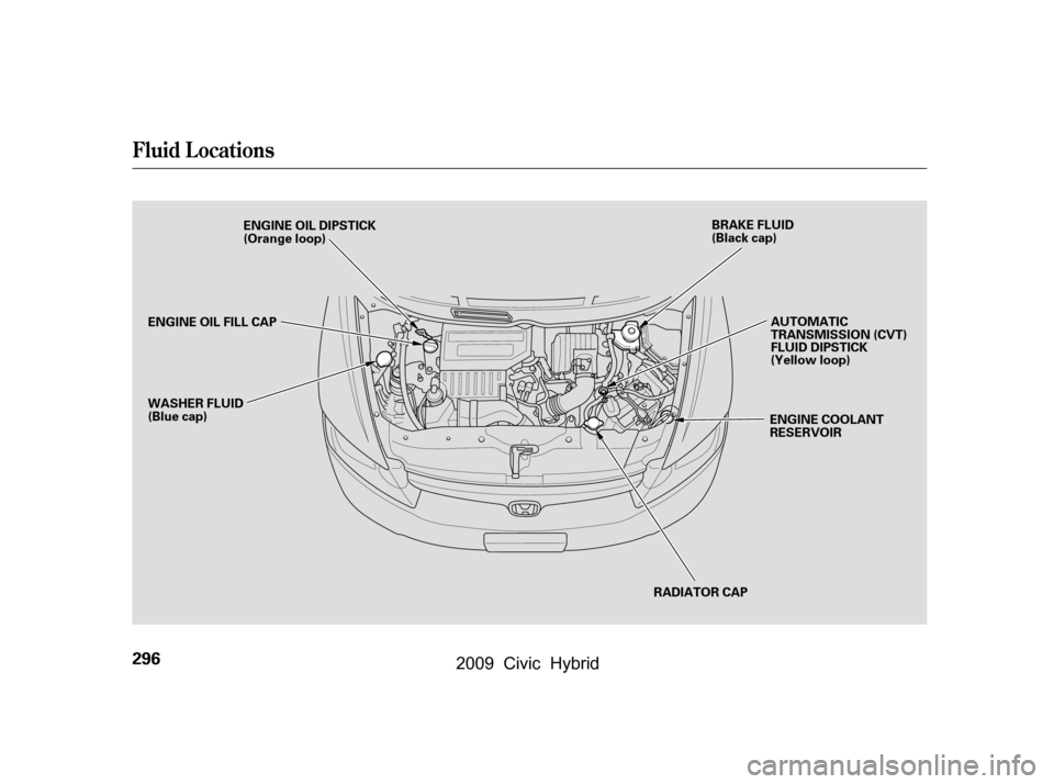 HONDA CIVIC HYBRID 2009 8.G Owners Manual Fluid Locations
296
RADIATOR CAP
ENGINE OIL DIPSTICK 
(Orange loop)
WASHER FLUID
(Blue cap) AUTOMATIC
TRANSMISSION (CVT)
FLUID DIPSTICK
(Yellow loop)
ENGINE COOLANT
RESERVOIR
BRAKE FLUID
(Black cap)
E