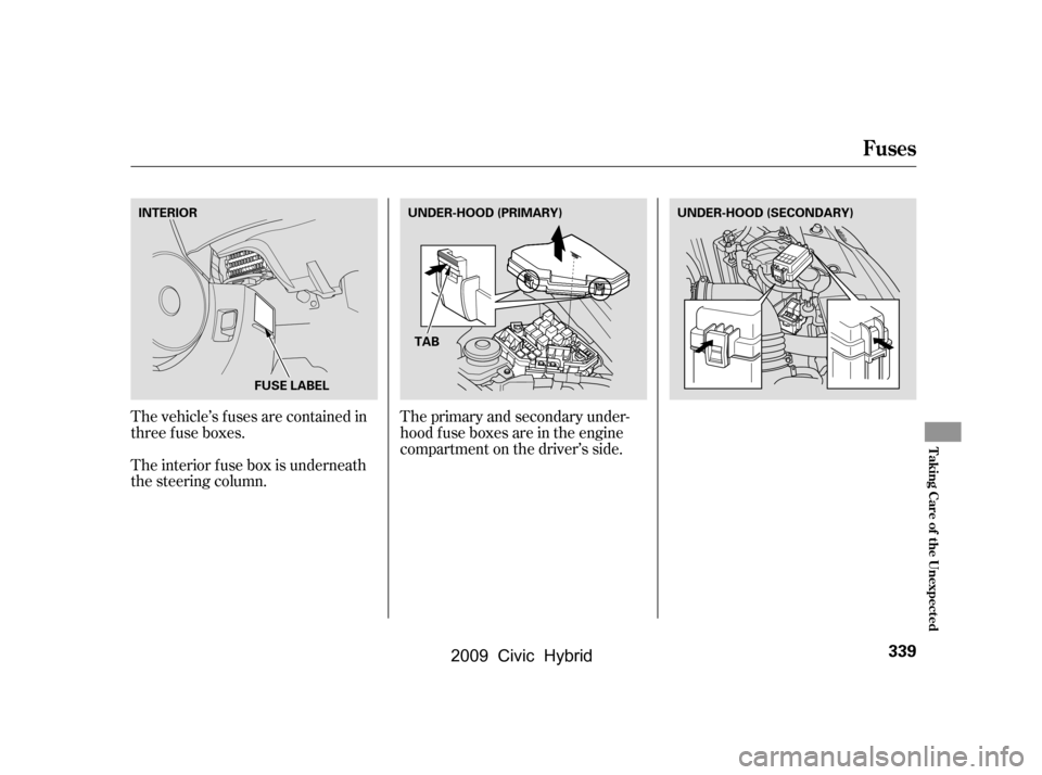 HONDA CIVIC HYBRID 2009 8.G Owners Manual The vehicle’s f uses are contained in 
threefuseboxes.The primary and secondary under-
hood f use boxes are in the engine
compartment on the driver’s side.
The interior f use box is underneath
the