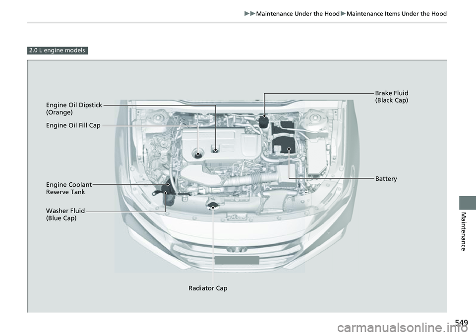 HONDA ACCORD 2022 User Guide 549
uuMaintenance Under the Hood uMaintenance Items Under the Hood
Maintenance
2.0 L engine models
Engine Oil Dipstick
(Orange)
Washer Fluid
(Blue Cap) Engine Coolant
Reserve Tank
Radiator Cap Brak HONDA ACCORD 2022 User Guide 549
uuMaintenance Under the Hood uMaintenance Items Under the Hood
Maintenance
2.0 L engine models
Engine Oil Dipstick
(Orange)
Washer Fluid
(Blue Cap) Engine Coolant
Reserve Tank
Radiator Cap Brak