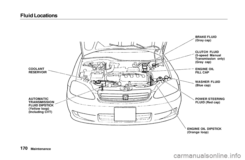 HONDA CIVIC COUPE 1999  Owners Manual 
Fluid Locations

Maintenance

COOLANT
RESERVOIR

AUTOMATIC

TRANSMISSION
 FLUID DIPSTICK(Yellow loop)

(Including CVT)
 BRAKE FLUID
(Gray cap)
CLUTCH FLUID (5-speed Manual
Transmission only) (Gray ca