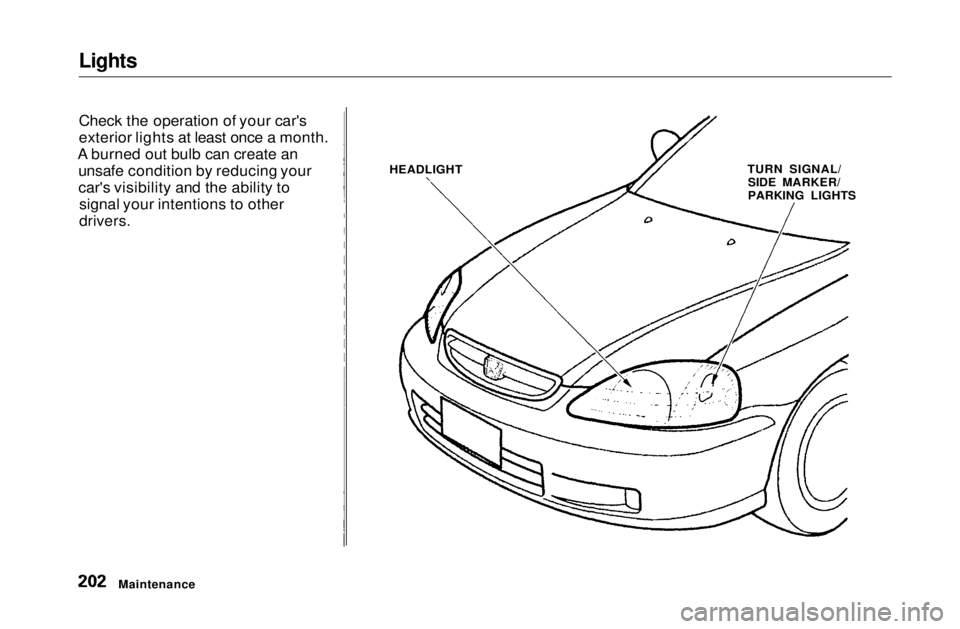 HONDA CIVIC COUPE 1999  Owners Manual 
Lights

Check the operation of your car's
exterior lights at least once a month.
A burned out bulb can create an unsafe condition by reducing your
car's visibility and the ability tosignal yo