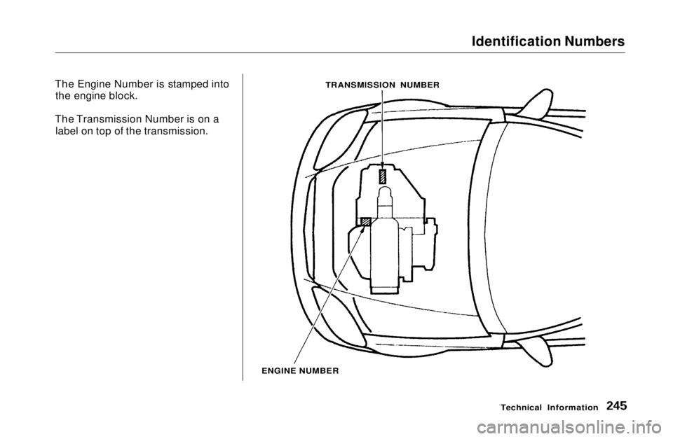 HONDA CIVIC COUPE 1999 Owners Manual Identification Numbers
The Engine Number is stamped into the engine block.
The Transmission Number is on a label on top of the transmission.
Technical Information
TRANSMISSION NUMBER
ENGINE NUMBERMa HONDA CIVIC COUPE 1999 Owners Manual Identification Numbers
The Engine Number is stamped into the engine block.
The Transmission Number is on a label on top of the transmission.
Technical Information
TRANSMISSION NUMBER
ENGINE NUMBERMa