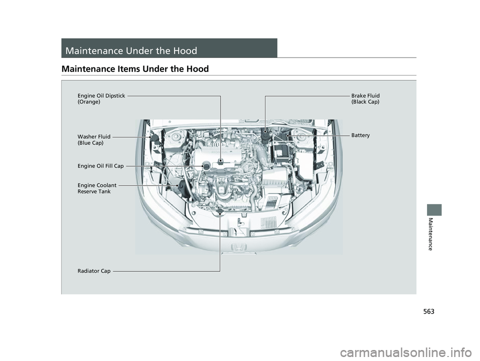 HONDA HRV 2023  Owners Manual 563
Maintenance
Maintenance Under the Hood
Maintenance Items Under the Hood
Brake Fluid 
(Black Cap)
Engine Coolant 
Reserve Tank
Radiator Cap Engine Oil Dipstick 
(Orange)
Engine Oil Fill Cap Battery