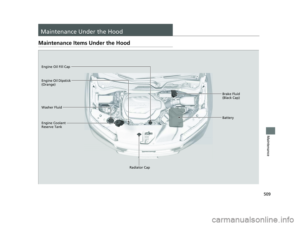 HONDA PASSPORT 2023 Owners Manual 509
Maintenance
Maintenance Under the Hood
Maintenance Items Under the Hood
Brake Fluid
(Black Cap)
Washer Fluid
Radiator Cap
Engine Coolant
Reserve Tank Engine Oil Dipstick
(Orange) Engine Oil Fil HONDA PASSPORT 2023 Owners Manual 509
Maintenance
Maintenance Under the Hood
Maintenance Items Under the Hood
Brake Fluid
(Black Cap)
Washer Fluid
Radiator Cap
Engine Coolant
Reserve Tank Engine Oil Dipstick
(Orange) Engine Oil Fil