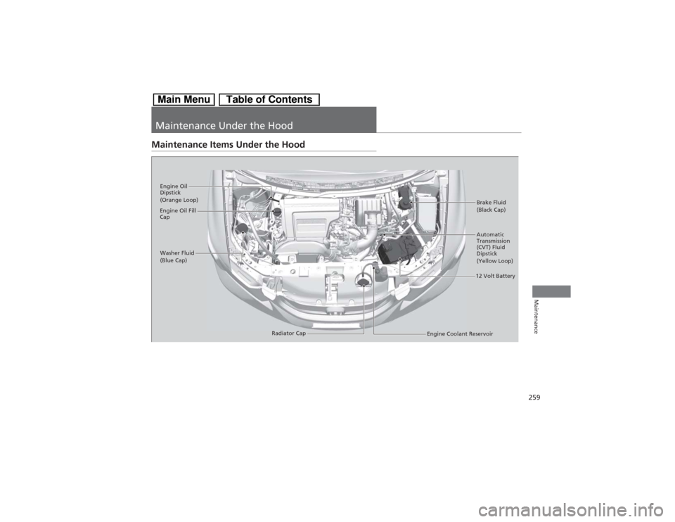 HONDA CIVIC HYBRID 2013 9.G Owners Manual 259Maintenance
Maintenance Under the HoodMaintenance Items Under the Hood
Brake Fluid
(Black Cap)
Washer Fluid
(Blue Cap) Engine Oil 
Dipstick
(Orange Loop)
Radiator Cap Engine Oil Fill 
Cap
Automatic