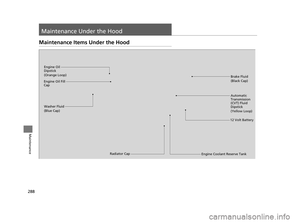 HONDA CIVIC HYBRID 2014 9.G Owners Manual 288
Maintenance
Maintenance Under the Hood
Maintenance Items Under the Hood
Brake Fluid
(Black Cap)
Washer Fluid
(Blue Cap)
Engine Oil 
Dipstick
(Orange Loop)
Radiator Cap
Engine Oil Fill 
Cap
Automat