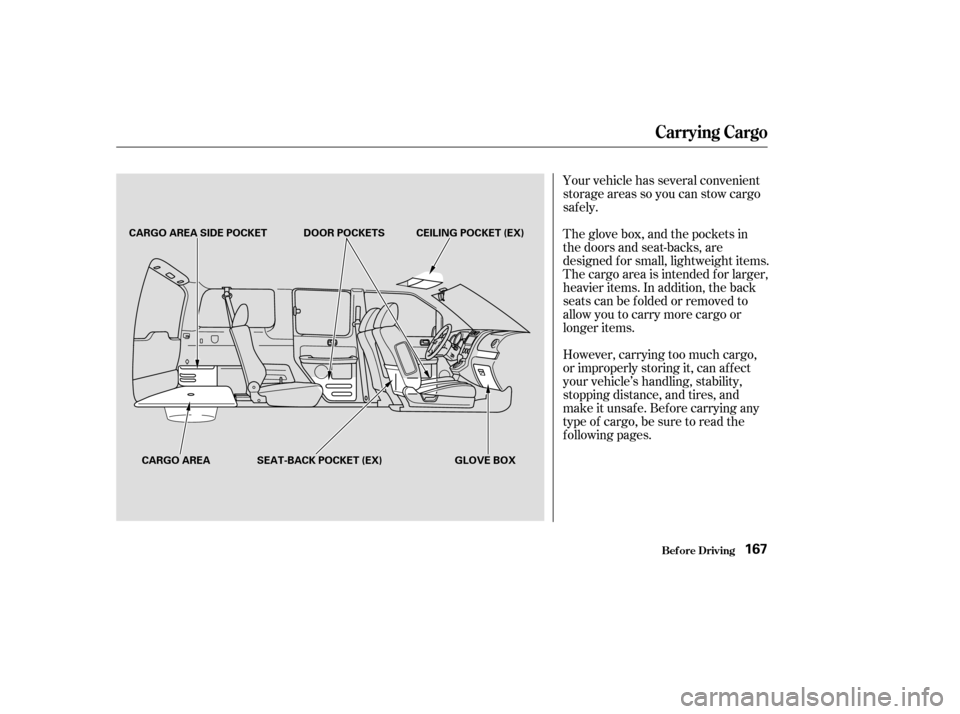 HONDA ELEMENT 2003 1.G User Guide Your vehicle has several convenient
storage areas so you can stow cargo
saf ely.
The glove box, and the pockets in
the doors and seat-backs, are
designed f or small, lightweight items.
The cargo area 