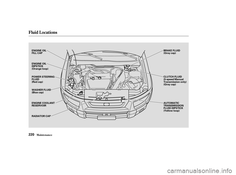 HONDA ELEMENT 2003 1.G Service Manual Fluid Locations
Maint enance220
ENGINE OIL
FILL CAP
ENGINE OIL
DIPSTICK
(Orange loop)
POWER STEERING
FLUID
(Red cap)
WASHER FLUID
(Blue cap)
RADIATOR CAPBRAKE FLUID
(Gray cap)
AUTOMATIC
TRANSMISSION
F
