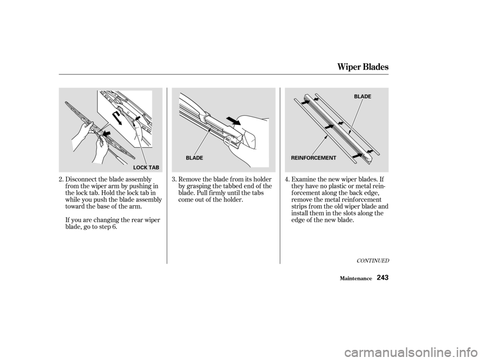 HONDA ELEMENT 2003 1.G Owners Manual Examine the new wiper blades. If
they have no plastic or metal rein-
f orcement along the back edge,
remove the metal reinf orcement
strips f rom the old wiper blade and
install them in the slots alon