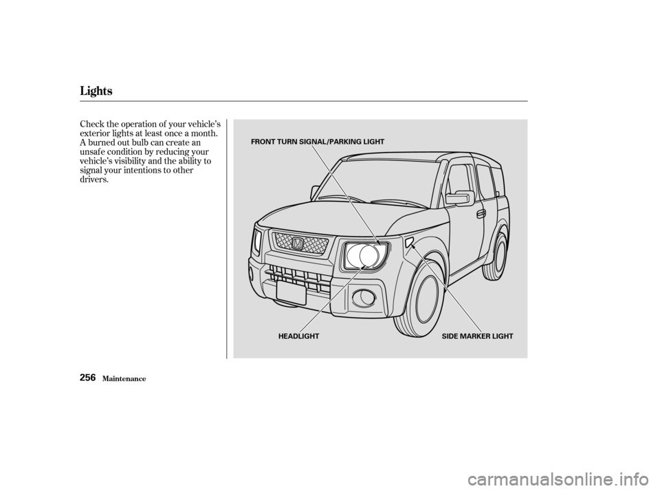 HONDA ELEMENT 2003 1.G Owners Manual Check the operation of your vehicle’s
exterior lights at least once a month.
A burned out bulb can create an
unsaf e condition by reducing your
vehicle’s visibility and the ability to
signal your 
