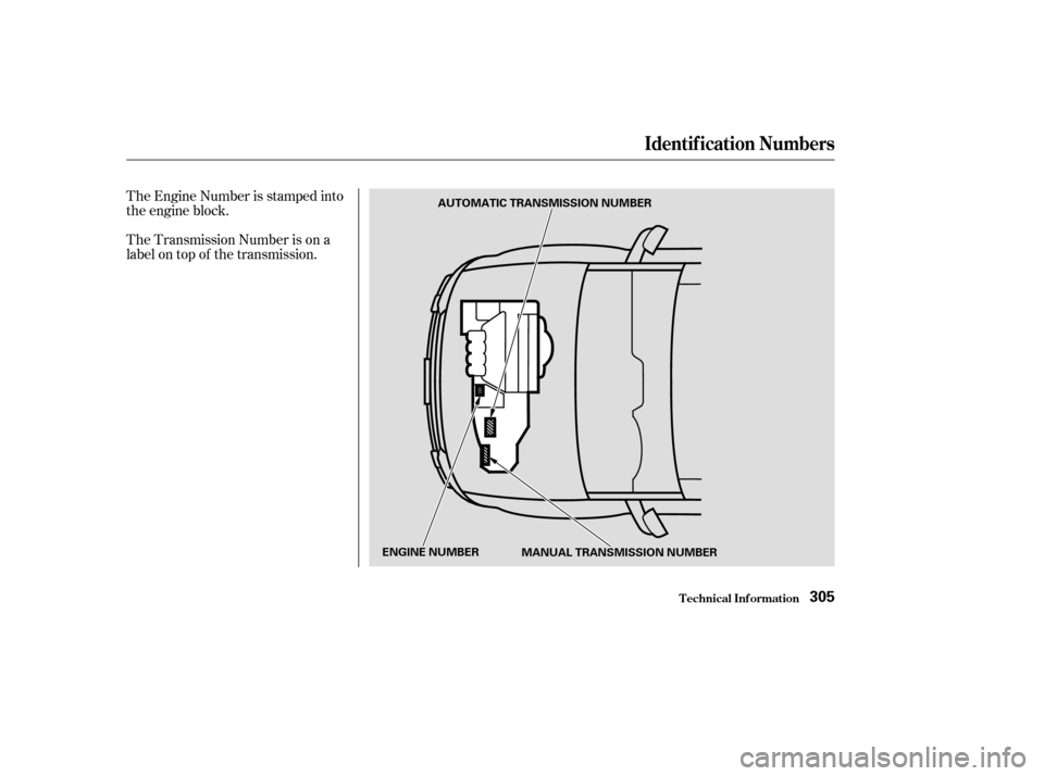 HONDA ELEMENT 2003 1.G Manual PDF The Engine Number is stamped into
the engine block.
The Transmission Number is on a
label on top of the transmission.
Identif ication Numbers
T echnical Inf ormation305
ENGINE NUMBERMANUAL TRANSMISSIO
