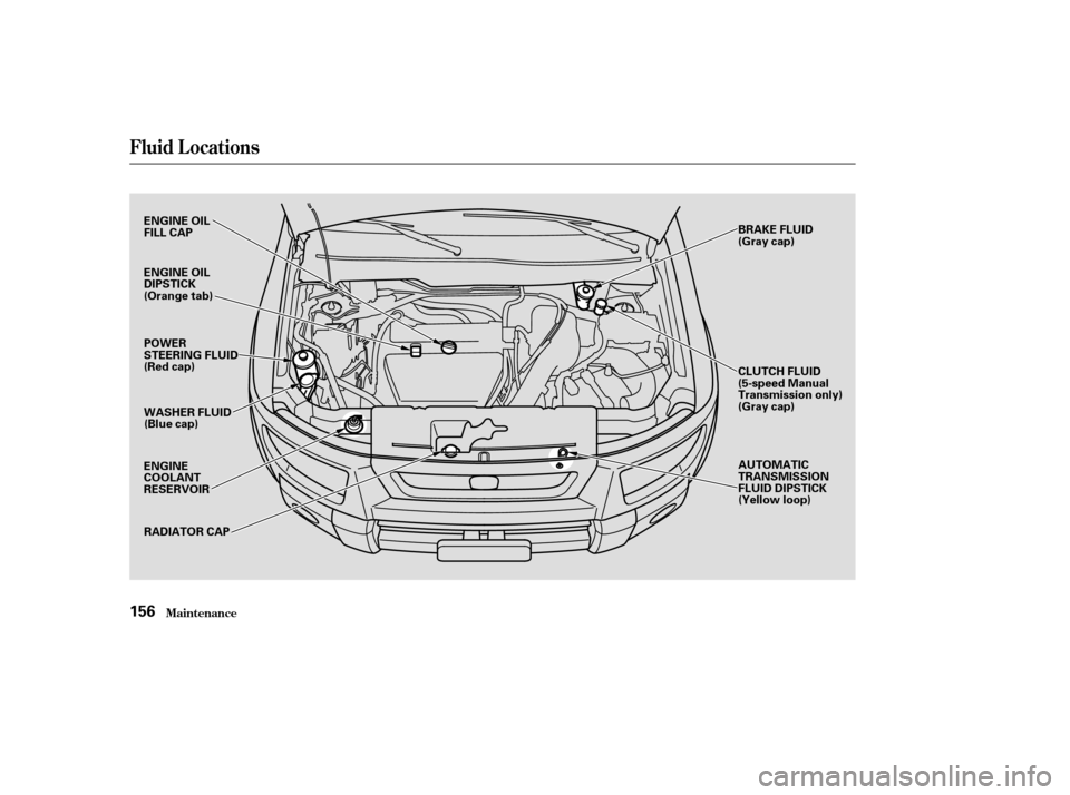 HONDA ELEMENT 2004 1.G Owners Manual Fluid Locations
Maint enance156
BRAKE FLUID 
(Gray cap) 
CLUTCH FLUID 
(5-speed Manual
Transmission only)
(Gray cap)AUTOMATIC
TRANSMISSION
FLUID DIPSTICK
(Yellow loop)
RADIATOR CAP
ENGINE
COOLANT
RESE