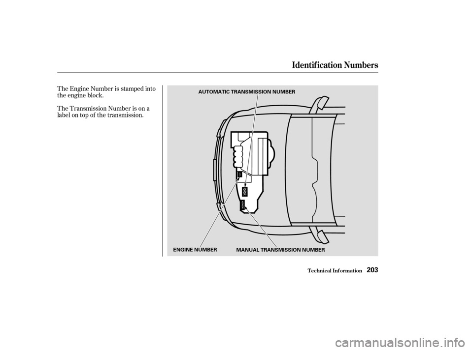HONDA ELEMENT 2004 1.G Owners Manual The Engine Number is stamped into 
the engine block. 
The Transmission Number is on a 
label on top of the transmission.
Identif ication Numbers
T echnical Inf ormation203
AUTOMATIC TRANSMISSION NUMBE