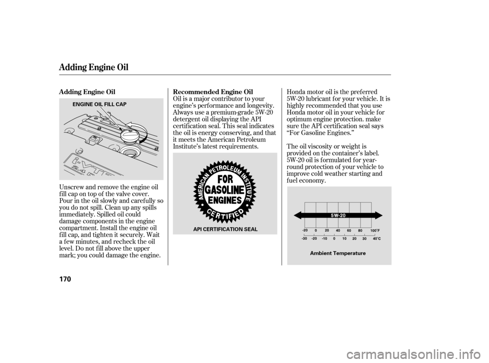 HONDA ELEMENT 2005 1.G Owners Manual Unscrew and remove the engine oil
fill cap on top of the valve cover.
Pour in the oil slowly and caref ully so
you do not spill. Clean up any spills
immediately. Spilled oil could
damage components in