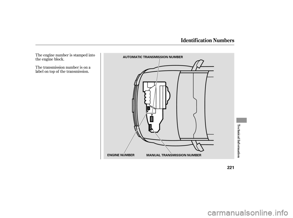HONDA ELEMENT 2005 1.G Owners Manual The transmission number is on a
label on top of the transmission. The engine number is stamped into
the engine block.
Identif ication Numbers
T echnical Inf ormation
221
AUTOMATIC TRANSMISSION NUMBER
