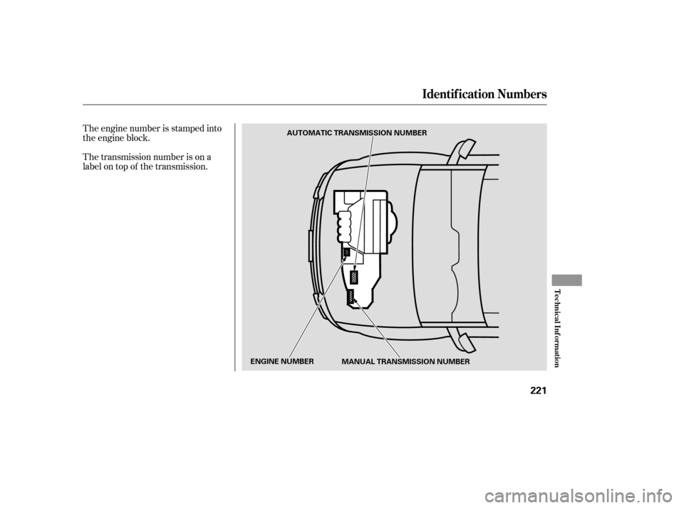 HONDA ELEMENT 2006 1.G Owners Manual The transmission number is on a
label on top of the transmission. The engine number is stamped into
the engine block.
Identif ication Numbers
Technical Inf ormation
221
AUTOMATIC TRANSMISSION NUMBER
E