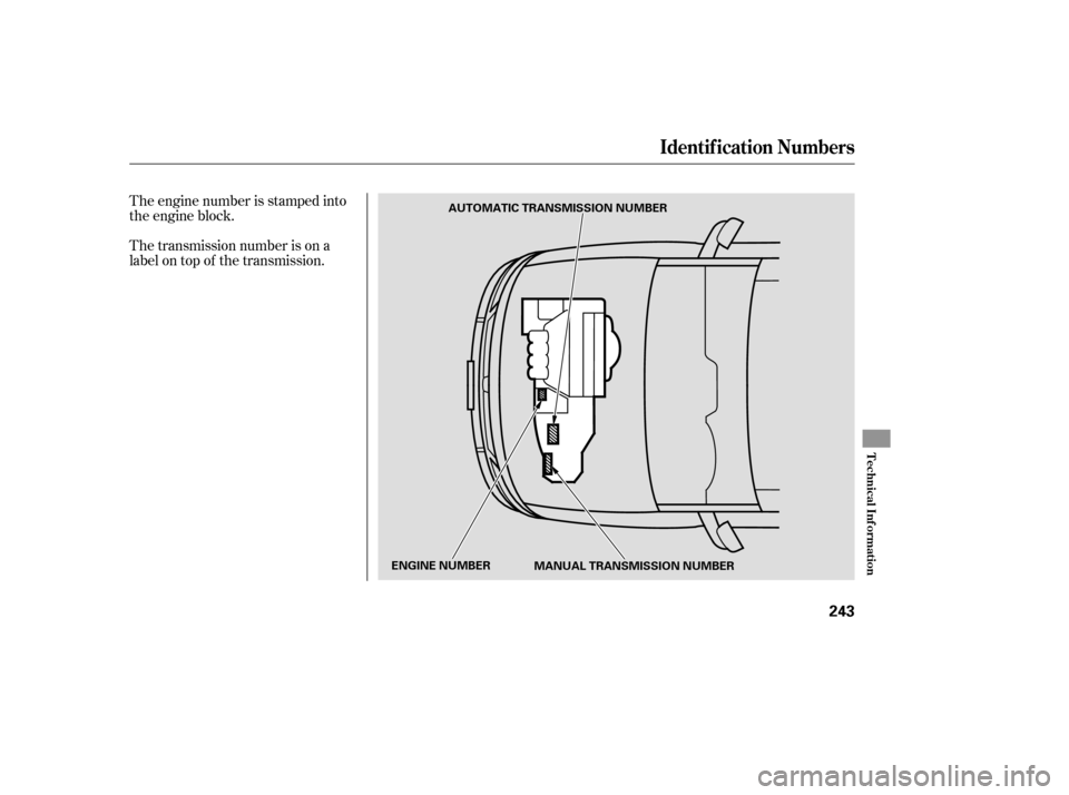HONDA ELEMENT 2007 1.G Repair Manual The transmission number is on a
label on top of the transmission. The engine number is stamped into
the engine block.
Identif ication Numbers
Technical Inf ormation
243
AUTOMATIC TRANSMISSION NUMBER
E