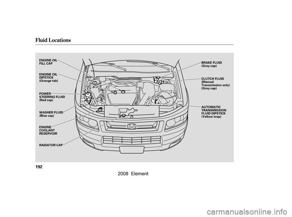 HONDA ELEMENT 2008 1.G Owners Manual Fluid Locations
192
RADIATOR CAP
ENGINE 
COOLANT
RESERVOIR WASHER FLUID
(Blue cap)
ENGINE OIL
FILL CAP 
POWER 
STEERING FLUID
(Red cap) 
ENGINE OIL 
DIPSTICK
(Orange tab)
BRAKE FLUID
(Gray cap) 
CLUTC