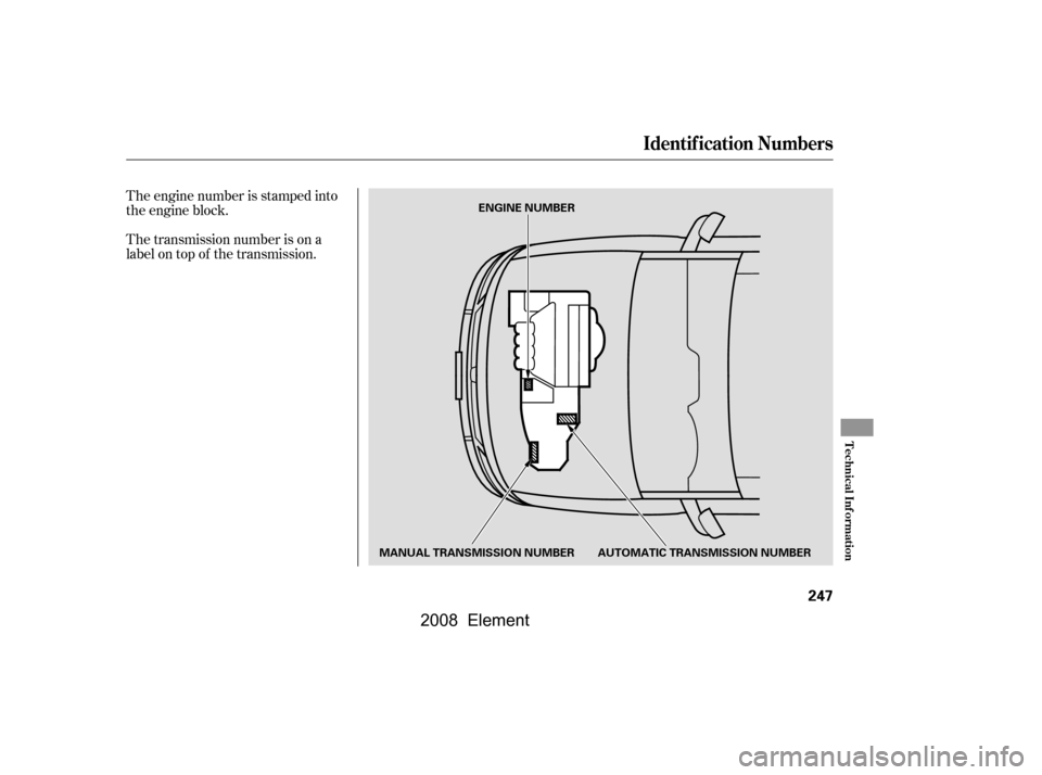 HONDA ELEMENT 2008 1.G Repair Manual The transmission number is on a 
label on top of the transmission. 
The engine number is stamped into 
the engine block.
Identif ication Numbers
Technical Inf ormation
247
AUTOMATIC TRANSMISSION NUMBE