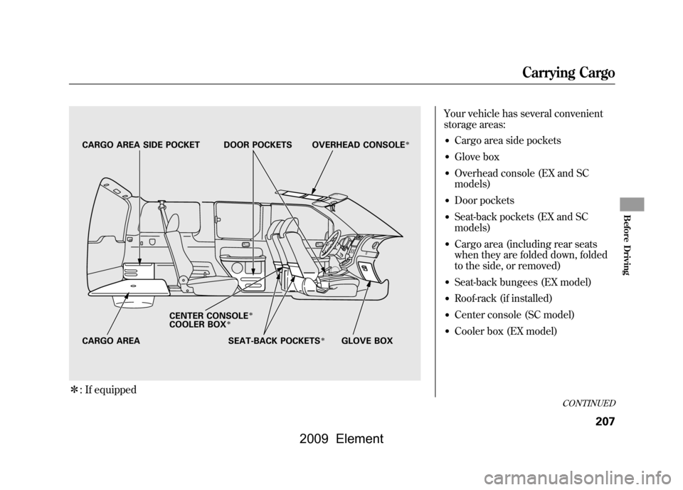 HONDA ELEMENT 2009 1.G Owners Manual ꭧ: If equipped
Your vehicle has several convenient 
storage areas:●Cargo area side pockets●Glove box●Overhead console (EX and SC
models)●Door pockets●Seat-back pockets (EX and SC
models)�