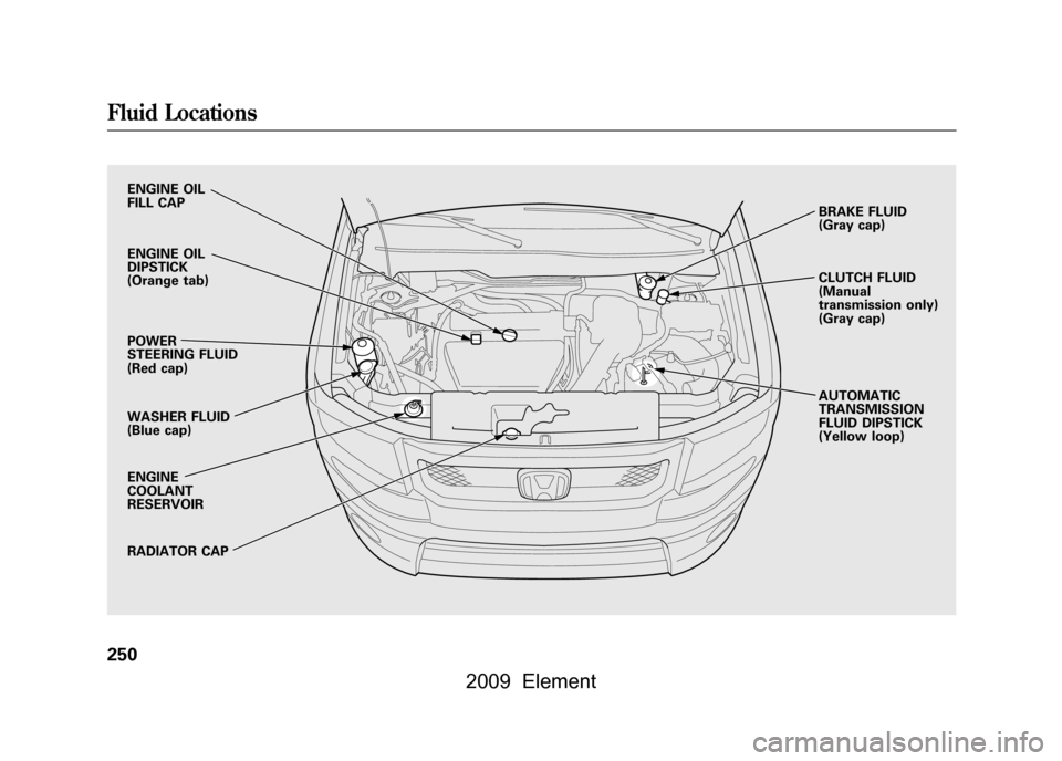 HONDA ELEMENT 2009 1.G Service Manual ENGINE OIL
FILL CAP
ENGINE OIL
DIPSTICK
(Orange tab)
POWER
STEERING FLUID
(Red cap)
WASHER FLUID
(Blue cap)
ENGINE
COOLANT
RESERVOIR
RADIATOR CAPBRAKE FLUID
(Gray cap)
CLUTCH FLUID
(Manu HONDA ELEMENT 2009 1.G Service Manual ENGINE OIL
FILL CAP
ENGINE OIL
DIPSTICK
(Orange tab)
POWER
STEERING FLUID
(Red cap)
WASHER FLUID
(Blue cap)
ENGINE
COOLANT
RESERVOIR
RADIATOR CAPBRAKE FLUID
(Gray cap)
CLUTCH FLUID
(Manu