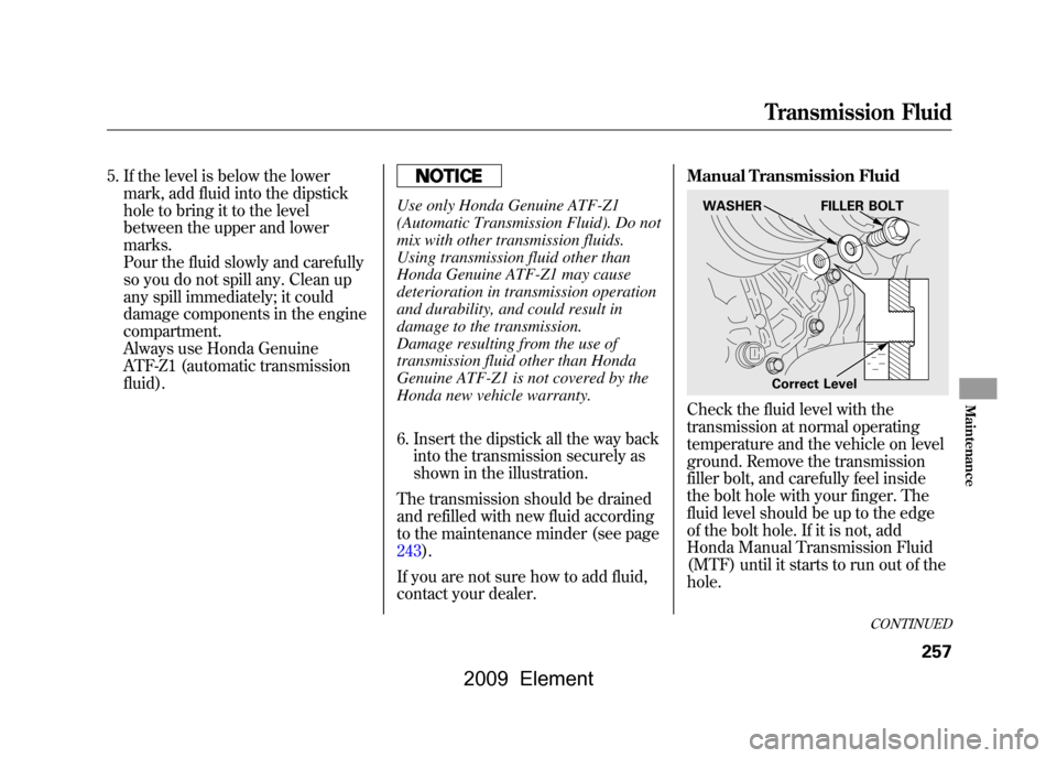 HONDA ELEMENT 2009 1.G Owners Manual 5. If the level is below the lowermark, add fluid into the dipstick 
hole to bring it to the level
between the upper and lower 
marks. 
Pour the fluid slowly and carefully
so you do not spill any. Cle