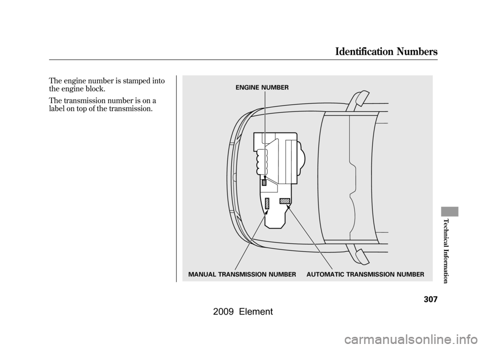 HONDA ELEMENT 2009 1.G Repair Manual The engine number is stamped into
the engine block.
The transmission number is on a
label on top of the transmission.
MANUAL TRANSMISSION NUMBER AUTOMATICTRANSMISSION NUMBER
ENGINE NUMBER
Identific HONDA ELEMENT 2009 1.G Repair Manual The engine number is stamped into
the engine block.
The transmission number is on a
label on top of the transmission.
MANUAL TRANSMISSION NUMBER AUTOMATICTRANSMISSION NUMBER
ENGINE NUMBER
Identific