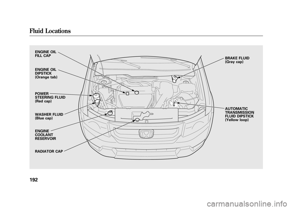 HONDA ELEMENT 2011 1.G Owners Manual ENGINE OIL
FILL CAP
ENGINE OIL
DIPSTICK
(Orange tab)
POWER
STEERING FLUID
(Red cap)
WASHER FLUID
(Blue cap)
ENGINE
COOLANT
RESERVOIR
RADIATOR CAPBRAKE FLUID
(Gray cap)
AUTOMATIC
TRANSMISSION
FLUID DIP HONDA ELEMENT 2011 1.G Owners Manual ENGINE OIL
FILL CAP
ENGINE OIL
DIPSTICK
(Orange tab)
POWER
STEERING FLUID
(Red cap)
WASHER FLUID
(Blue cap)
ENGINE
COOLANT
RESERVOIR
RADIATOR CAPBRAKE FLUID
(Gray cap)
AUTOMATIC
TRANSMISSION
FLUID DIP