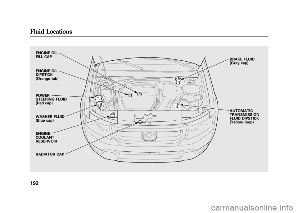 HONDA ELEMENT 2011 1.G Owners Manual ENGINE OIL
FILL CAP
ENGINE OIL
DIPSTICK
(Orange tab)
POWER
STEERING FLUID
(Red cap)
WASHER FLUID
(Blue cap)
ENGINE
COOLANT
RESERVOIR
RADIATOR CAPBRAKE FLUID
(Gray cap)
AUTOMATIC
TRANSMISSION
FLUID DIP