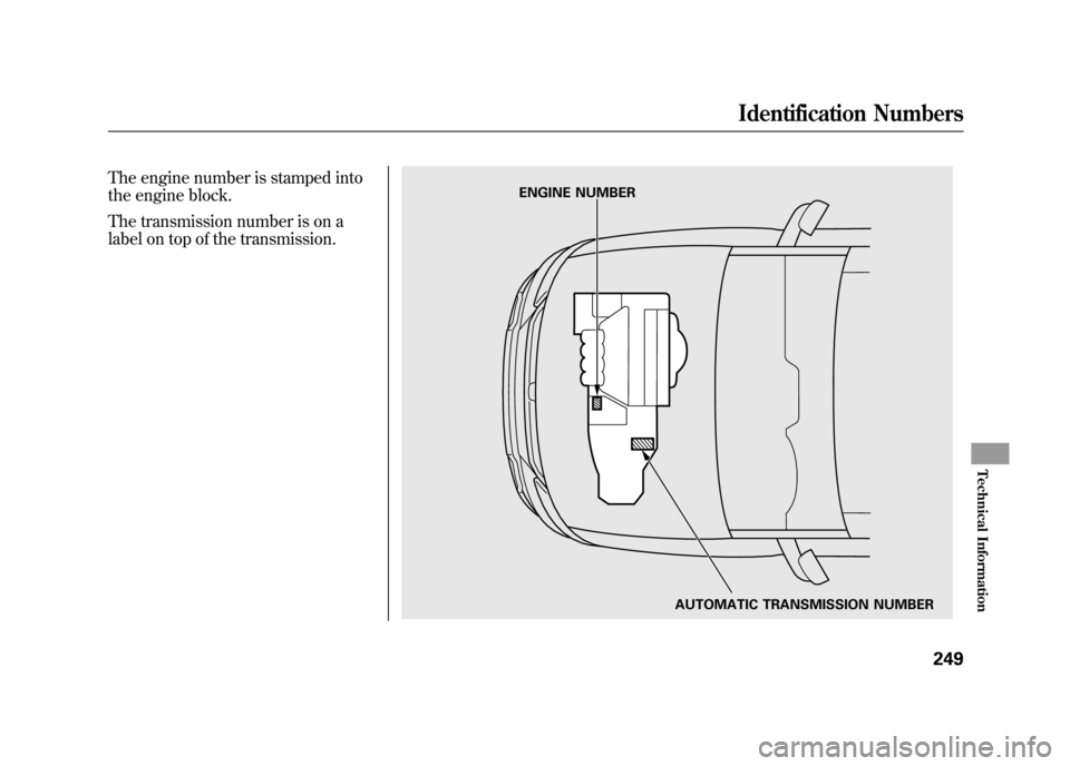 HONDA ELEMENT 2011 1.G Owners Manual The engine number is stamped into
the engine block.
The transmission number is on a
label on top of the transmission.
AUTOMATIC TRANSMISSION NUMBER
ENGINE NUMBER
Identification Numbers
249
Technical I