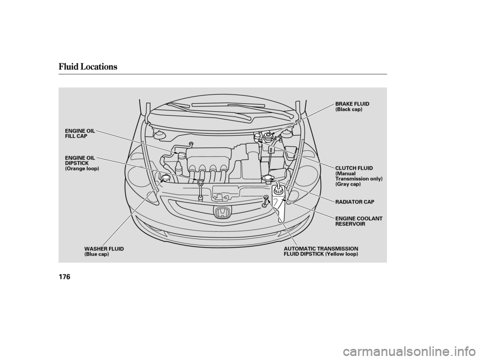 HONDA FIT 2007 1.G Owners Manual Fluid Locations
176
ENGINE OIL
DIPSTICK
(Orange loop) ENGINE OIL
FILL CAPAUTOMATIC TRANSMISSION
FLUID DIPSTICK (Yellow loop)BRAKE FLUID
(Black cap)
WASHER FLUID
(Blue cap) CLUTCH FLUID
(Manual
Transmi