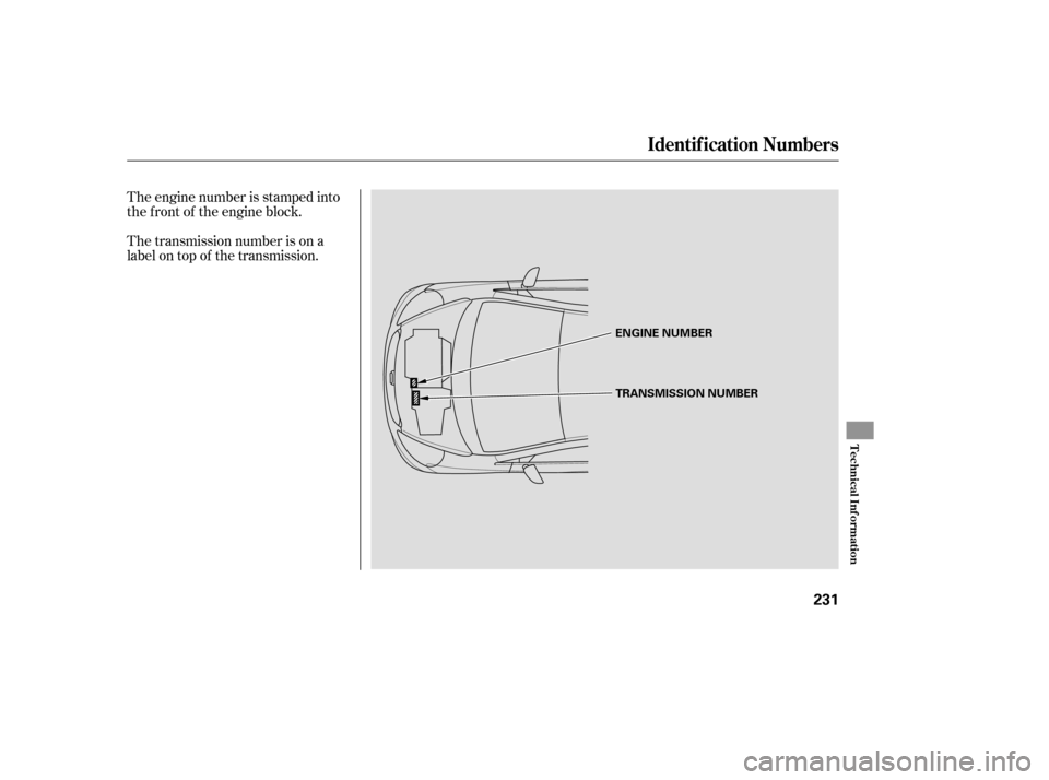 HONDA FIT 2007 1.G Owners Manual The transmission number is on a
label on top of the transmission. The engine number is stamped into
the f ront of the engine block.
Identif ication Numbers
Technical Inf ormation
231
ENGINE NUMBER
TRA