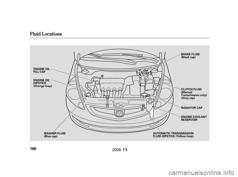 HONDA FIT 2008 1.G Owners Manual Fluid Locations
186
ENGINE OIL 
FILL CAPAUTOMATIC TRANSMISSION
FLUID DIPSTICK (Yellow loop)BRAKE FLUID
(Black cap)
WASHER FLUID
(Blue cap) CLUTCH FLUID
(Manual
Transmission only)
(Gray cap)
RADIATOR C