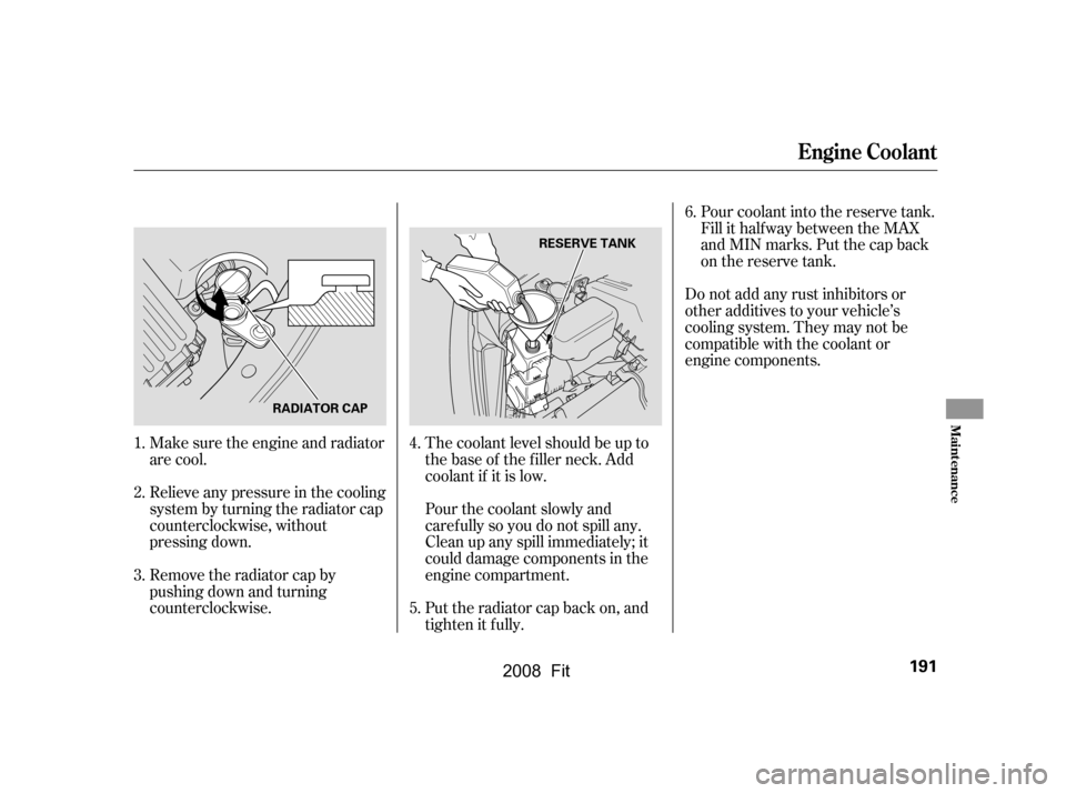 HONDA FIT 2008 1.G Owners Manual The coolant level should be up to 
the base of the f iller neck. Add
coolant if it is low. 
Pourthecoolantslowlyand 
caref ully so you do not spill any.
Clean up any spill immediately; it
could damage