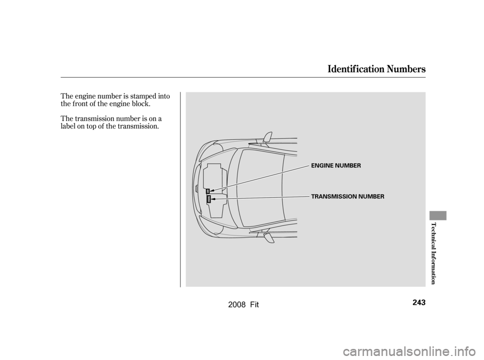 HONDA FIT 2008 1.G Owners Manual The transmission number is on a 
label on top of the transmission. 
The engine number is stamped into 
the f ront of the engine block.
Identif ication Numbers
Technical Inf ormation
243
ENGINE NUMBER 