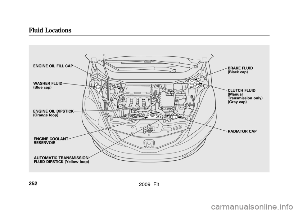 HONDA FIT 2009 2.G Owners Manual CLUTCH FLUID
(Manual
Transmission only)
(Gray cap)
RADIATOR CAP
ENGINE OIL FILL CAP
AUTOMATIC TRANSMISSION
FLUID DIPSTICK (Yellow loop)
WASHER FLUID
(Blue cap)
ENGINE OIL DIPSTICK
(Orange loop) ENGINE