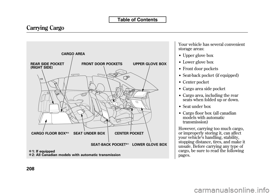 HONDA FIT 2010 2.G Owners Manual Your vehicle has several convenient 
storage areas:● Upper glove box
● Lower glove box
● Front door pockets
● Seat-back pocket (if equipped)
● Center pocket
● Cargo area side pocket
● Ca