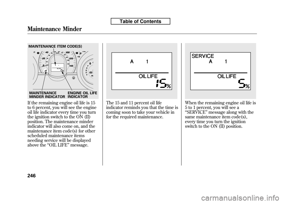 HONDA FIT 2010 2.G Owners Manual If the remaining engine oil life is 15
to 6 percent, you will see the engine
oil life indicator every time you turn
the ignition switch to the ON (II)
position. The maintenance minder
indicator will HONDA FIT 2010 2.G Owners Manual If the remaining engine oil life is 15
to 6 percent, you will see the engine
oil life indicator every time you turn
the ignition switch to the ON (II)
position. The maintenance minder
indicator will