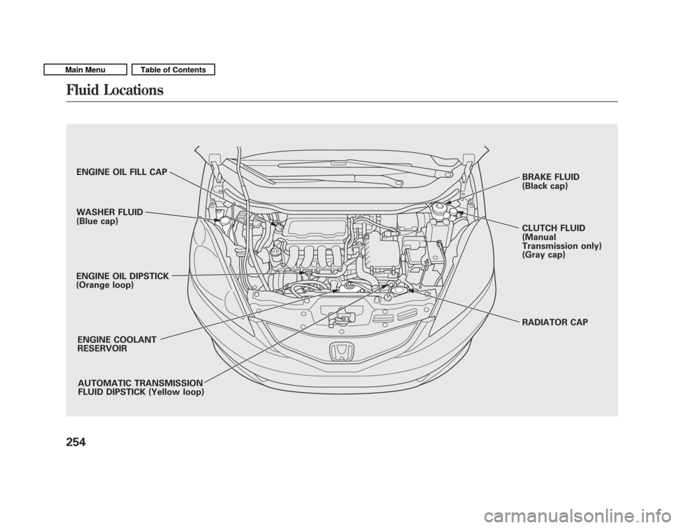 HONDA FIT 2011 2.G Owners Manual CLUTCH FLUID 
(Manual 
Transmission only) 
(Gray cap) 
RADIATOR CAP
ENGINE OIL FILL CAP
AUTOMATIC TRANSMISSION 
FLUID DIPSTICK (Yellow loop)
WASHER FLUID 
(Blue cap)
ENGINE OIL DIPSTICK 
(Orange loop)
