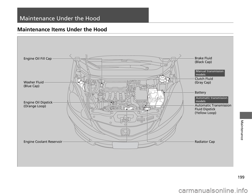 HONDA FIT 2012 2.G Owners Manual 199
Maintenance
Maintenance Under the HoodMaintenance Items Under the Hood
Brake Fluid 
(Black Cap)
Engine Coolant ReservoirRadiator Cap Washer Fluid 
(Blue Cap)
Engine Oil Dipstick 
(Orange Loop)Clut