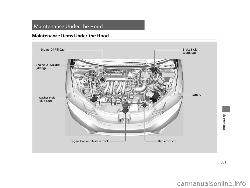 HONDA FIT 2015 3.G Owners Manual 361
Maintenance
Maintenance Under the Hood
Maintenance Items Under the Hood
Brake Fluid 
(Black Cap)
Engine Coolant Reserve Tank Radiator Cap
Washer Fluid 
(Blue Cap)
Engine Oil Dipstick 
(Orange)
Eng