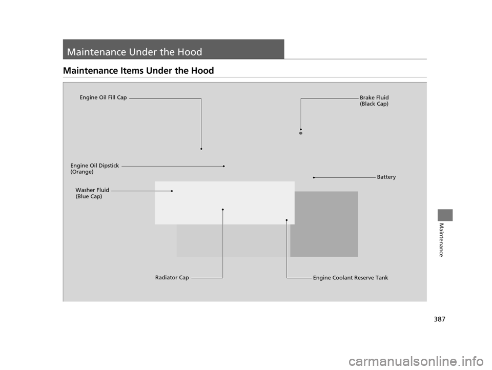 HONDA HR-V 2016 2.G User Guide 387
Maintenance
Maintenance Under the Hood
Maintenance Items Under the Hood
Brake Fluid 
(Black Cap)
Engine Coolant Reserve Tank
Radiator Cap
Washer Fluid 
(Blue Cap)
Engine Oil Dipstick 
(Orange) Eng