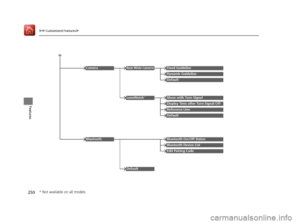 HONDA HR-V 2017 2.G Owners Manual 250
uuCustomized Features u
Features
Reference Line
LaneWatch*Show with Turn Signal
Display Time after Turn Signal Off
Default
Camera
Default
Rear Wide CameraFixed Guideline
Dynamic Guideline
Default
